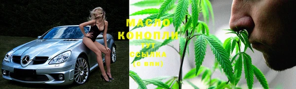 сатива Аркадак