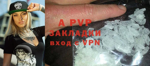 сатива Аркадак