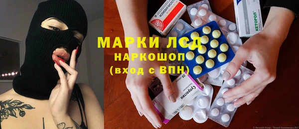 сатива Аркадак
