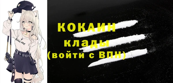 сатива Аркадак