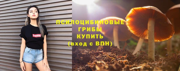 сатива Аркадак